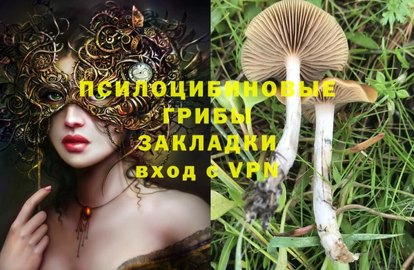 дмт Арсеньев