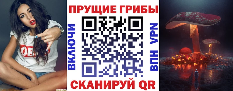 Псилоцибиновые грибы Psilocybe  МЕГА онион  Полярные Зори 